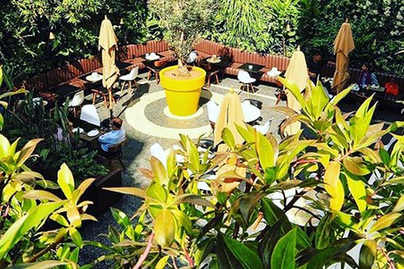 Le Patio
