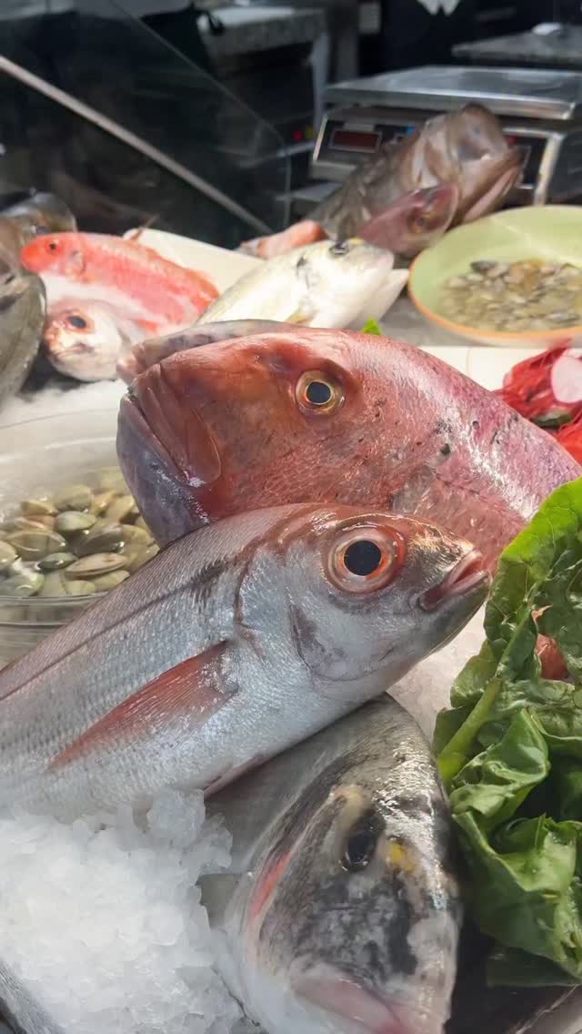Omega-3 Cabo