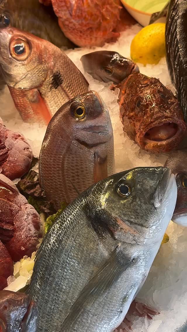 Omega-3 Cabo