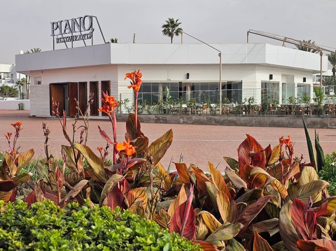 Restaurant Piano Live Music