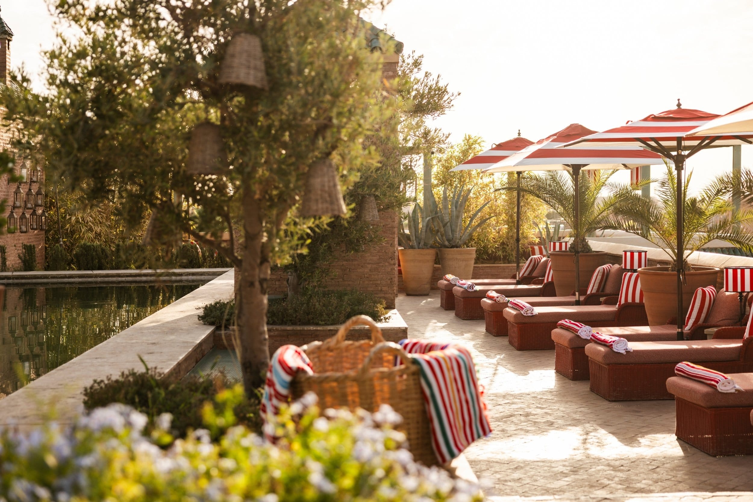 El Fenn — Restaurante y Terraza